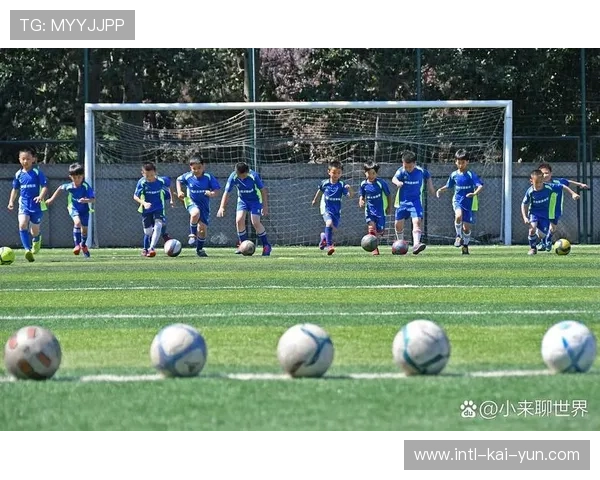 球场安全标准提升，法甲引领基础设施升级